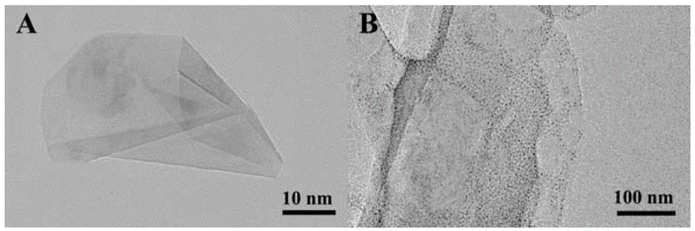 Boron nitride nanosheet/gold nanocluster composite material and its preparation and its application in biological analysis