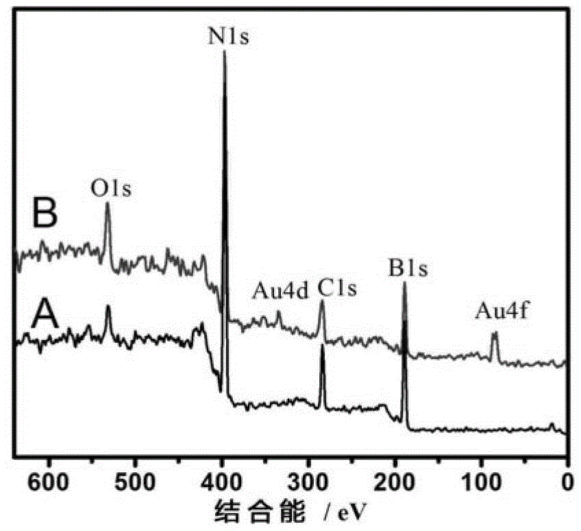 Boron nitride nanosheet/gold nanocluster composite material and its preparation and its application in biological analysis