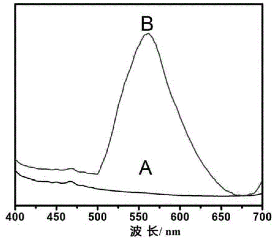 Boron nitride nanosheet/gold nanocluster composite material and its preparation and its application in biological analysis