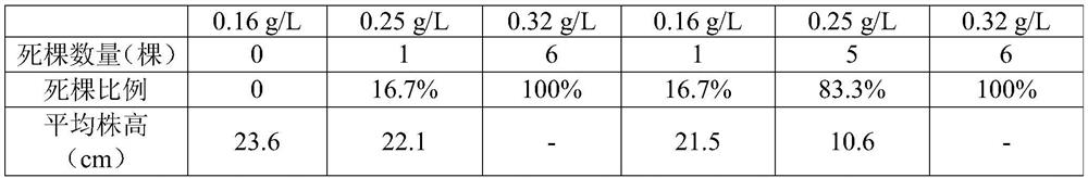 Rapid preparation method of polyglutamic acid for pesticide adjuvants