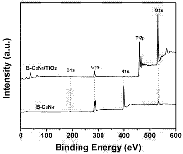 Boron-doped carbon nitride modified titanium dioxide composite photoelectrode and preparing method and application of boron doping carbon nitride modified titanium dioxide composite photoelectrode