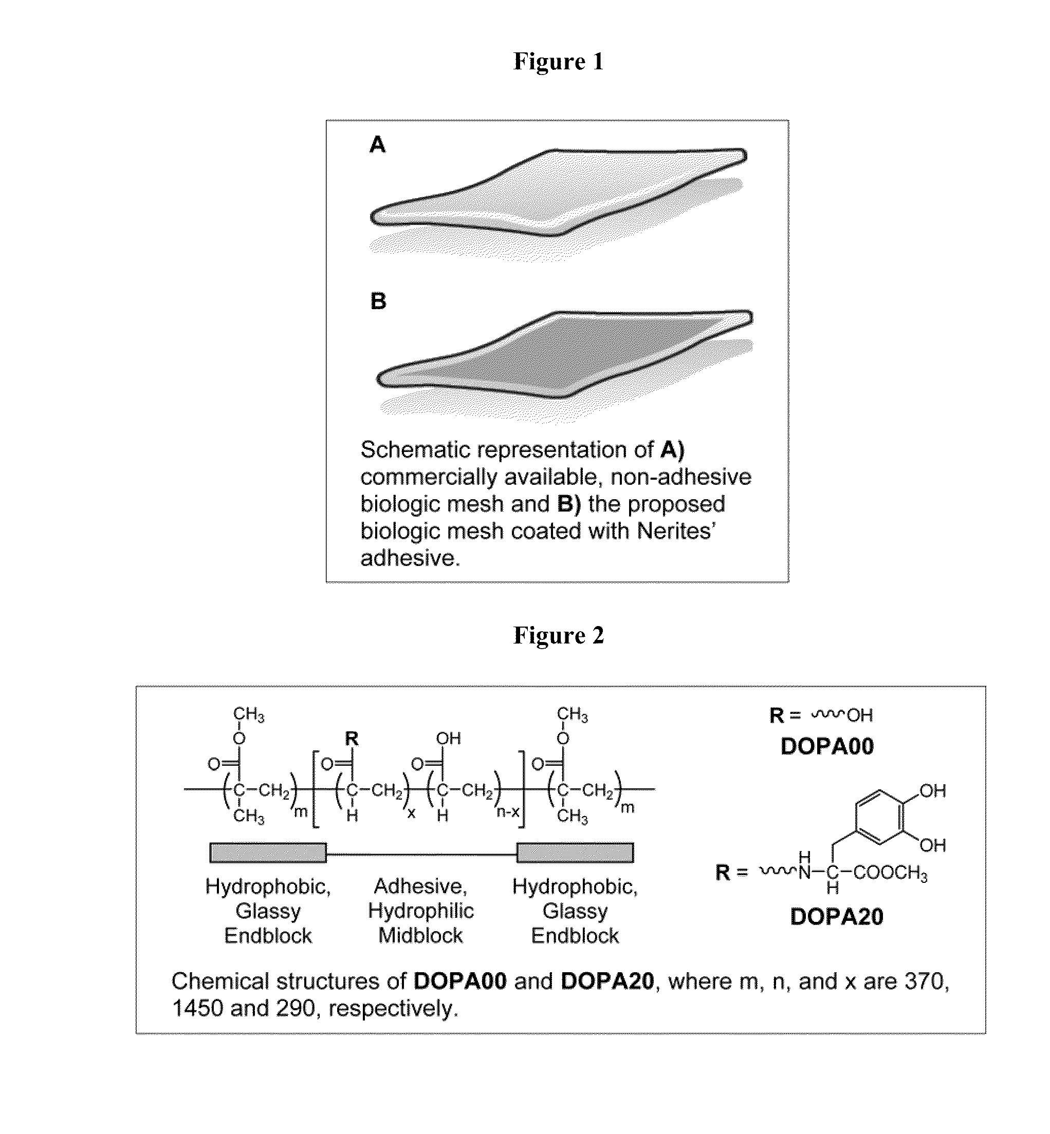 Bioadhesive constructs