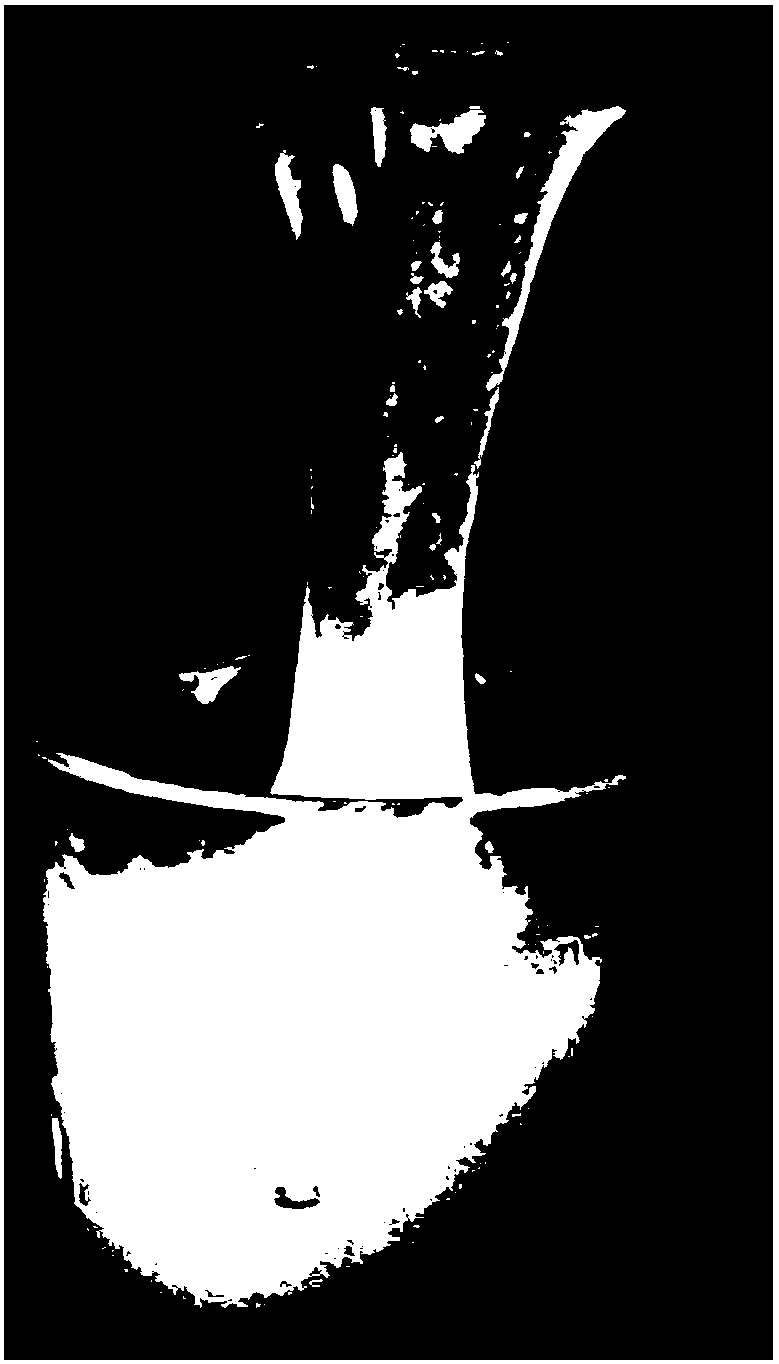 Inverse-phase micro-emulsion polymer fracturing fluid system with online construction function