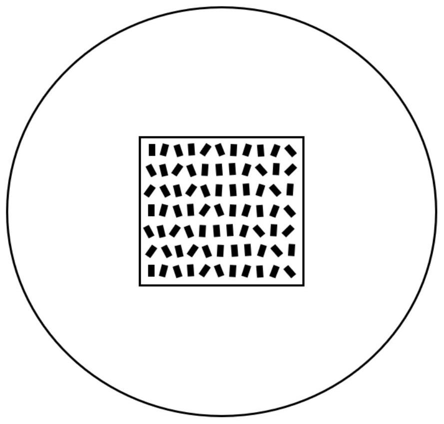 Miniature large-view-field local amplification optical system based on metasurface