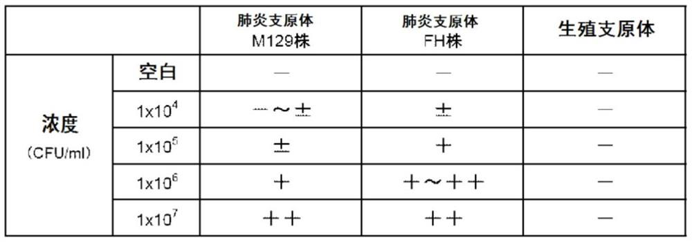 Immunological detection method and kit for Mycoplasma pneumoniae