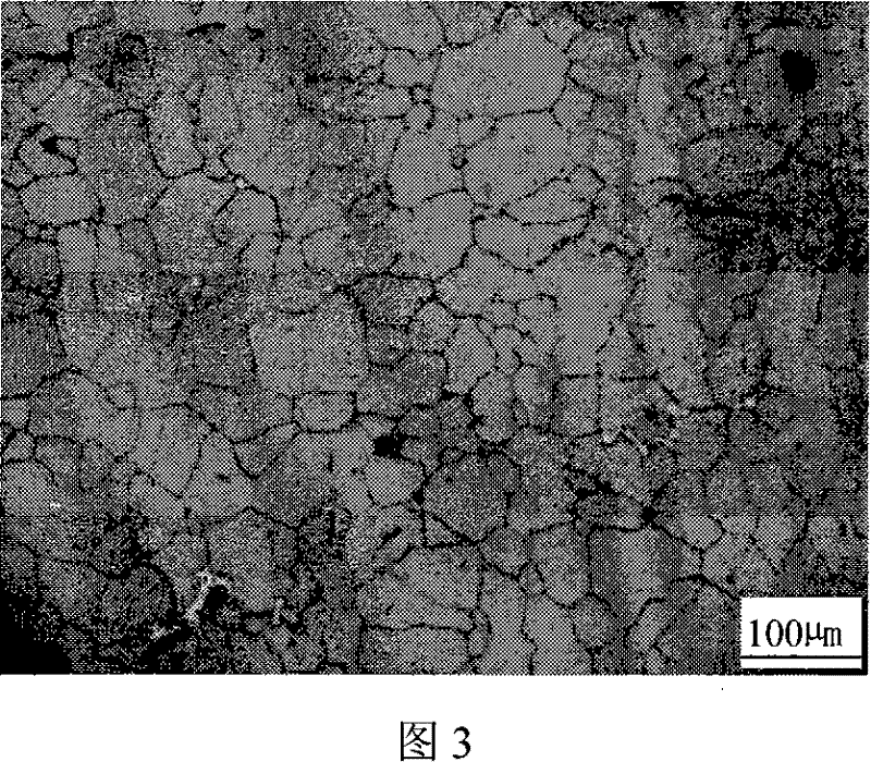 Thinning processing method for magnesium alloy fused mass and apparatus