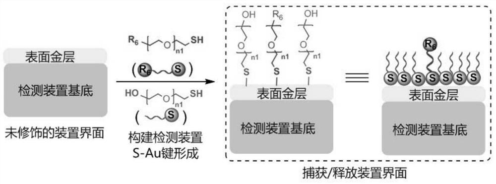 Circulating tumor cell detection method