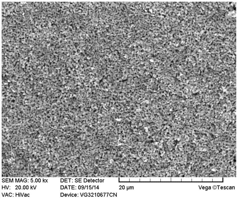 A method for preparing porous oxide film on the surface of metal carrier