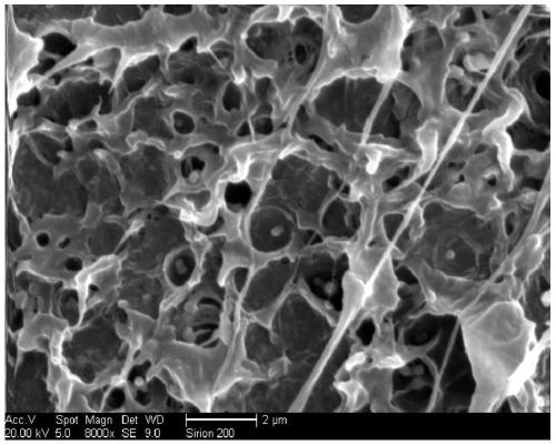 Organic-inorganic nanocomposite reinforced polyethylene material and preparation method thereof