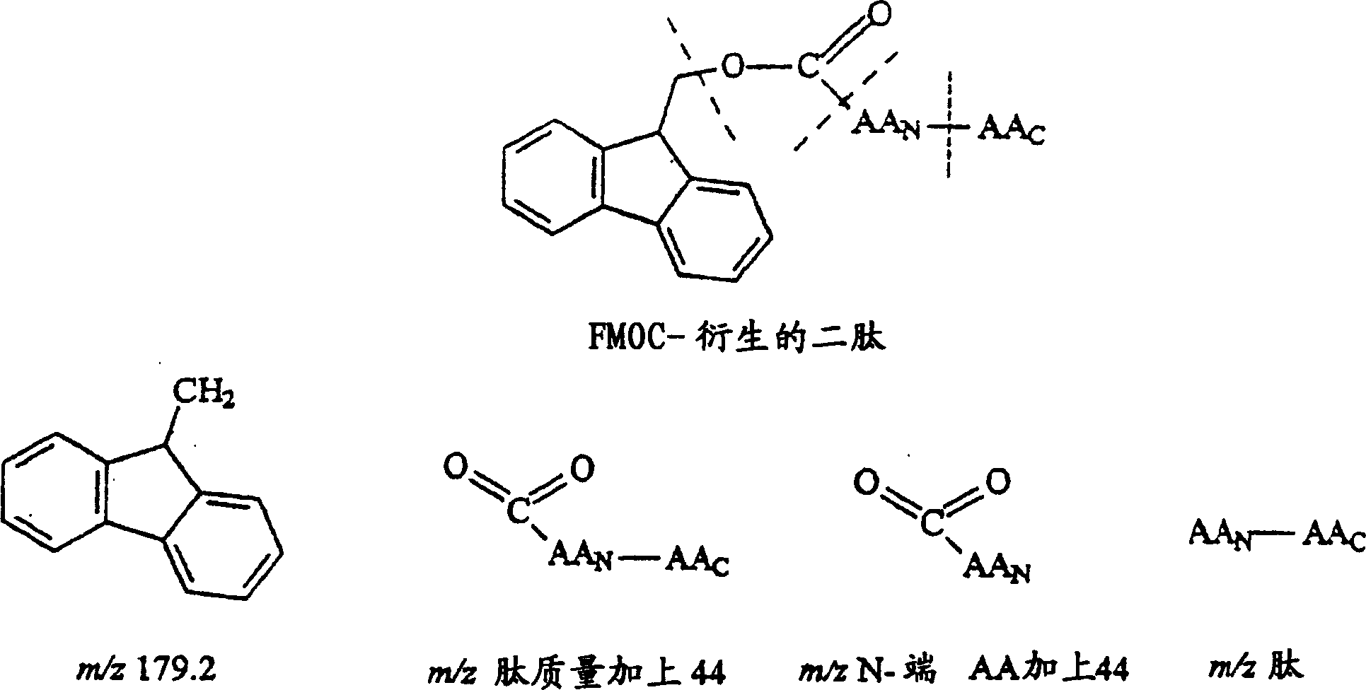 Flavor-active peptides