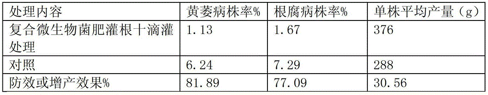 Composite microbial bacterial fertilizer with functions of disease prevention, growth promotion and yield increase and application thereof