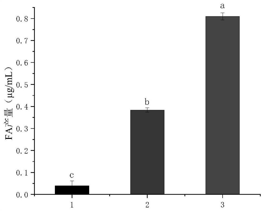 Probiotic and prebiotics combined fermented milk for treating hyperhomocysteinemia and preparation method and application thereof