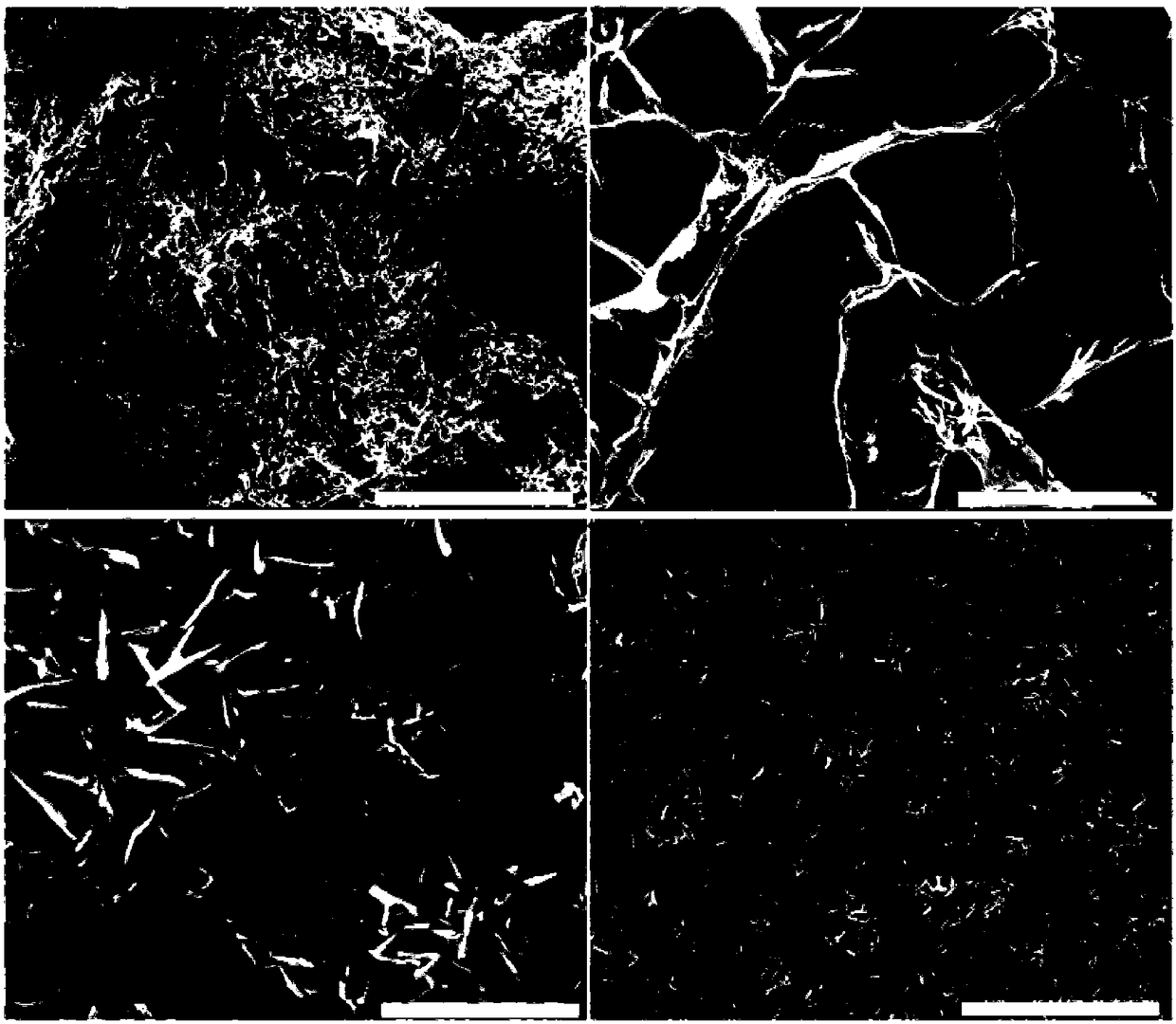 Heteroatom-doped porous carbon material and preparation method thereof and application in zinc-air battery