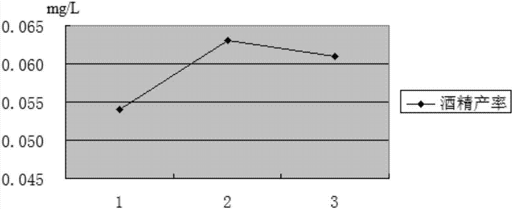 Radix scrophulariae wine brewing method and product thereof