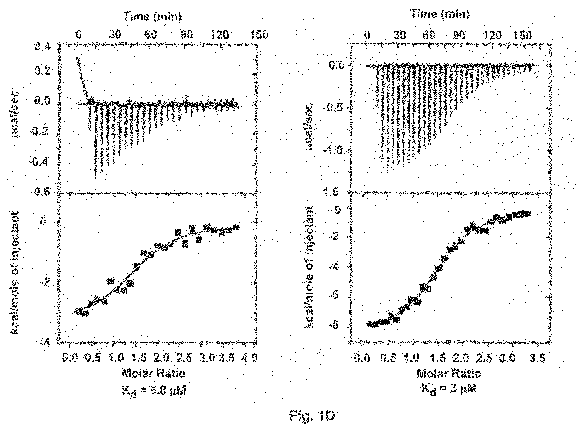 Crystal structure of Staphylococcus aureus clumping factor a in complex with fibrinogen derived peptide and uses thereof