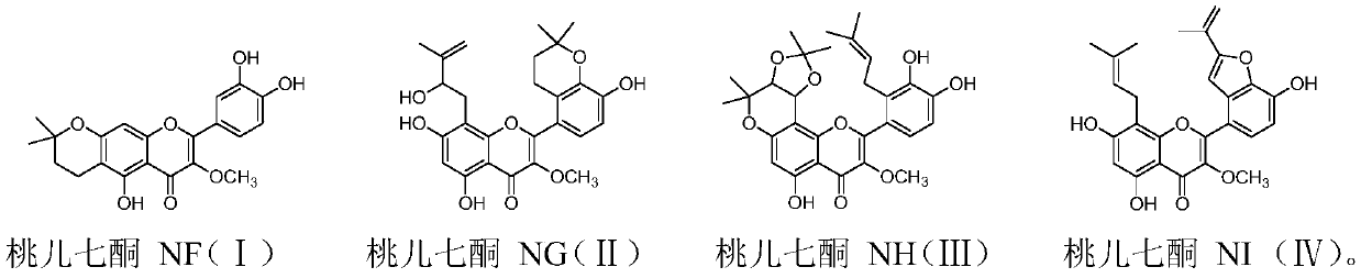 Isopentenylated flavonoid compound sinoflavonoids as well as preparation method and application thereof