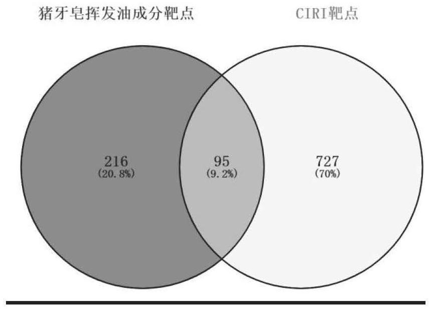 Application of fructus gleditsiae in preparation of medicine for treating cerebral ischemia-reperfusion injury