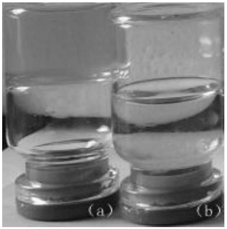 Amidoximated polyacrylonitrile spinning solution and nanoscale ion exchange fiber prepared from solution