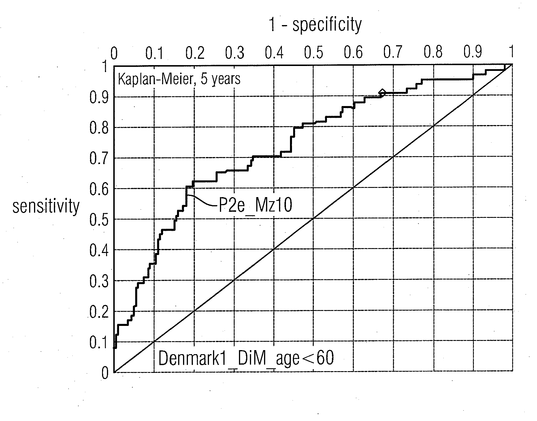 Molecular markers for cancer prognosis