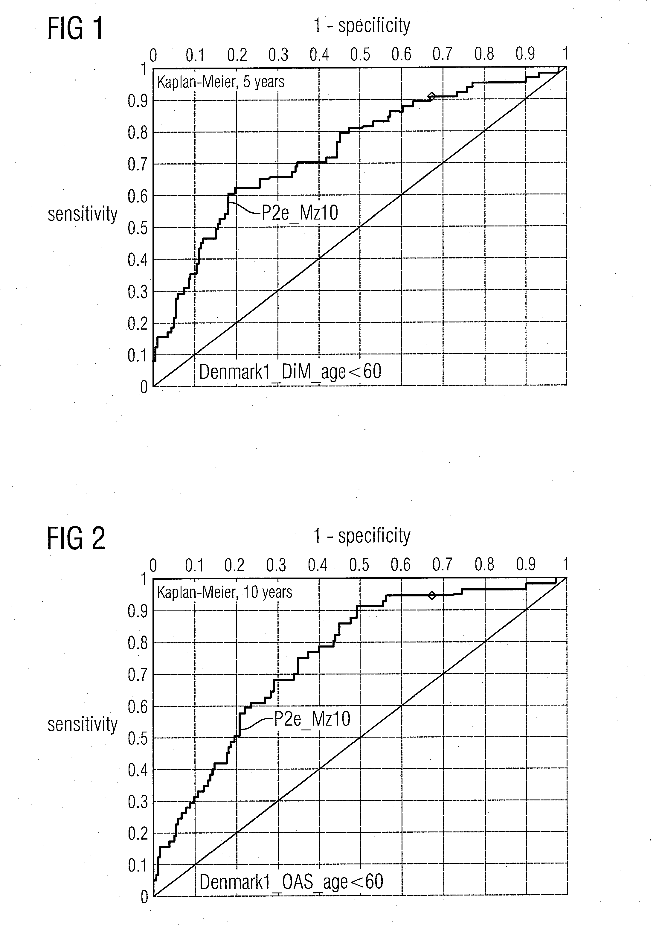 Molecular markers for cancer prognosis