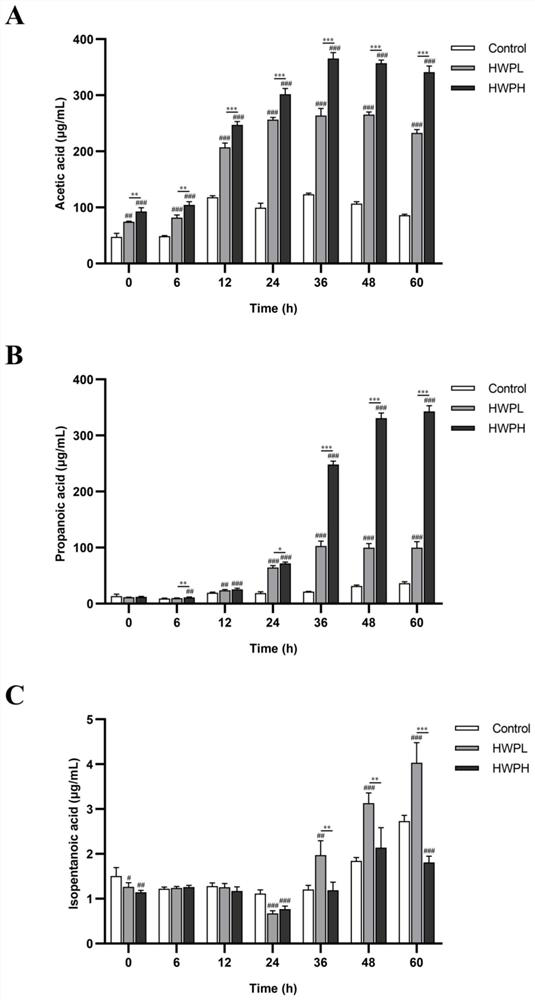 Steamed solomonseal rhizome polysaccharide and application thereof in regulating intestinal microorganisms