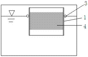 A method for repairing aquaculture water body with deformed floating bed for solidifying bacteria and deformed floating bed