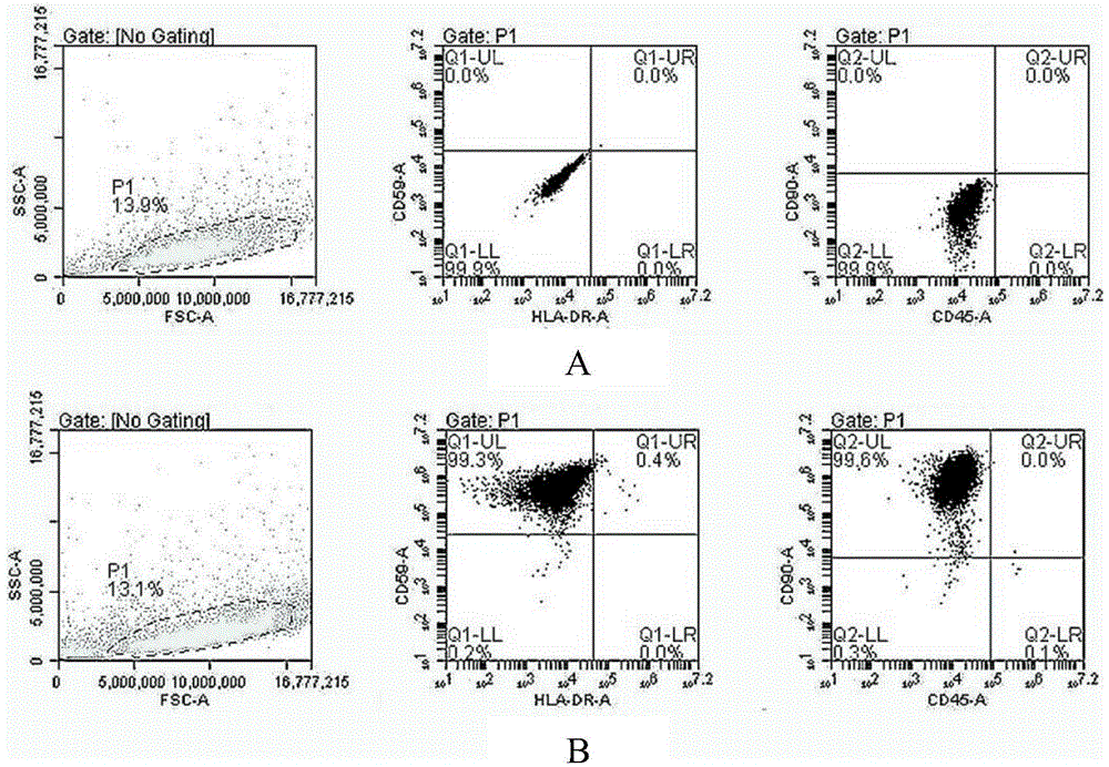 Isolated culture method of porcine fat stem cells