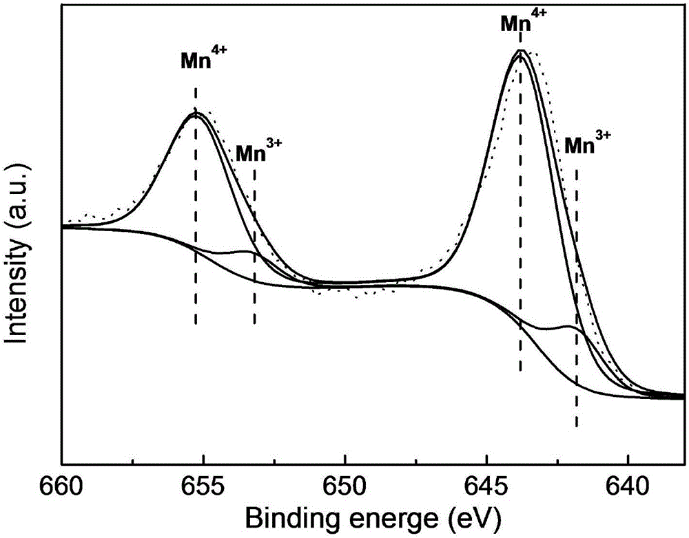 Wet oxidation catalyst and preparation method thereof