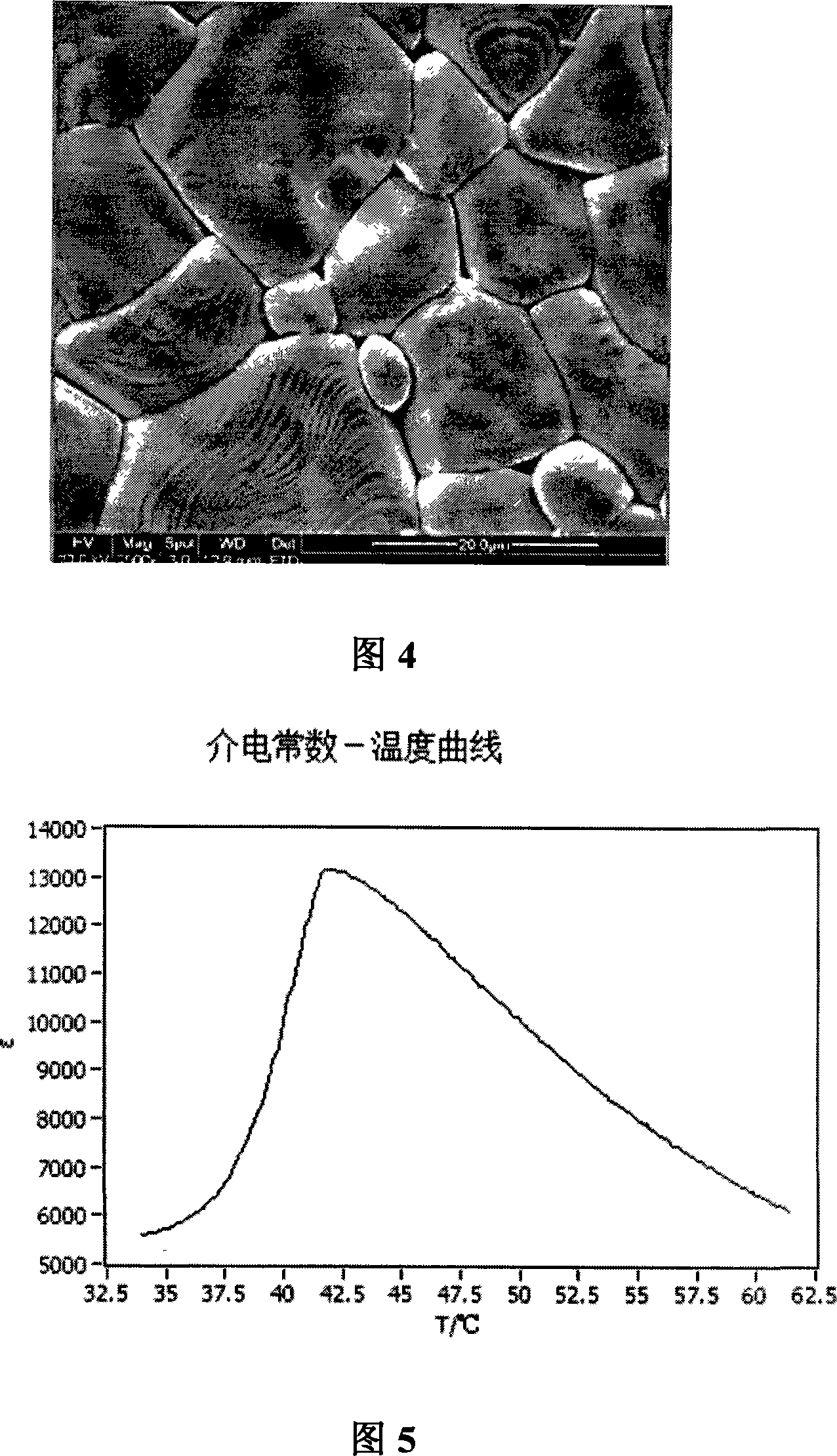 Method of preparing functional ceramic material