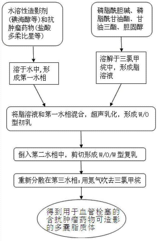 Vascular occlusive agent, application thereof and preparation method