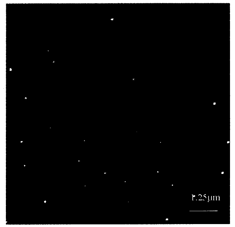 Preparation method of hollow gold nanometer cage