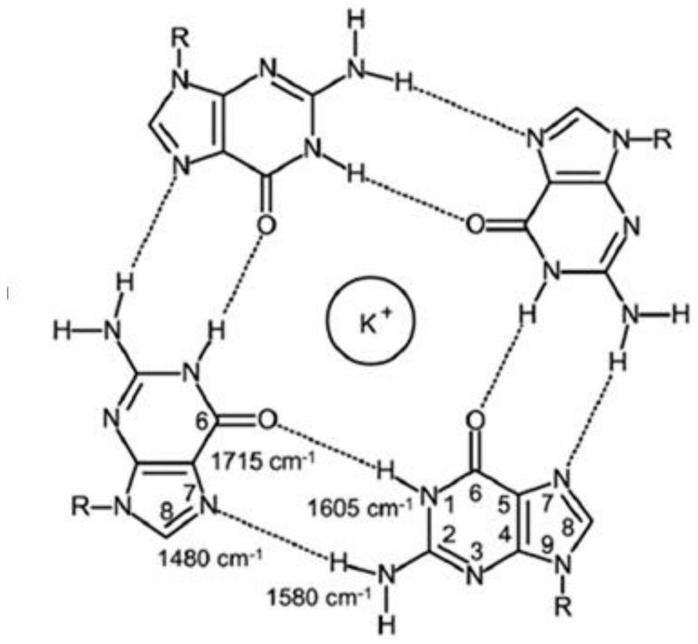 A method for detection of nucleic acid structure based on surface-enhanced Raman spectroscopy