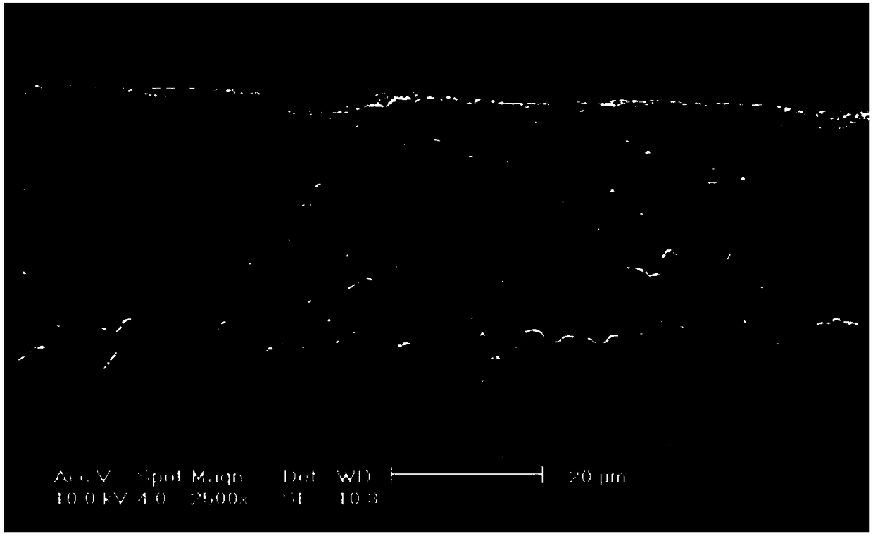 Aluminizing method of circular ring chain