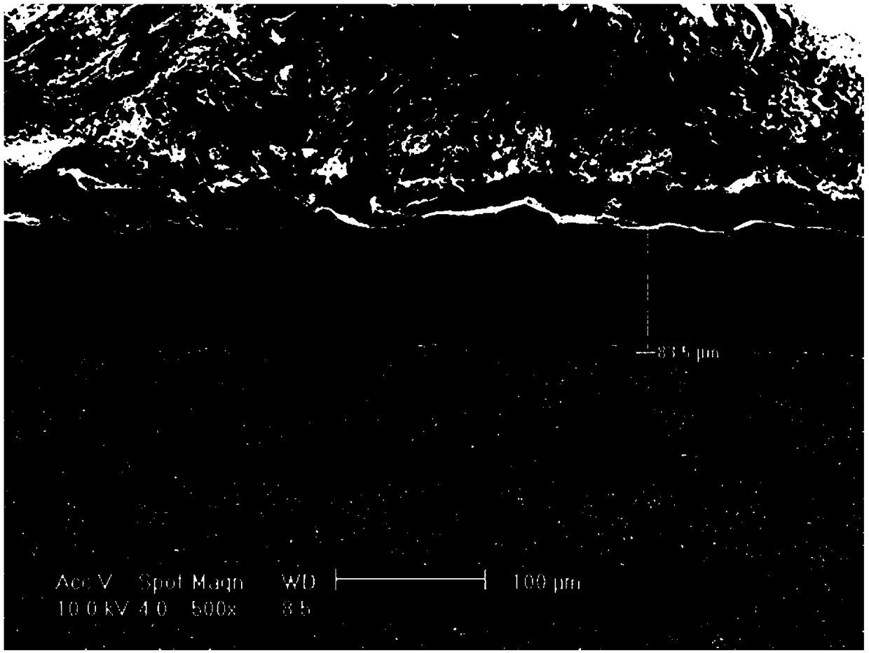 Aluminizing method of circular ring chain