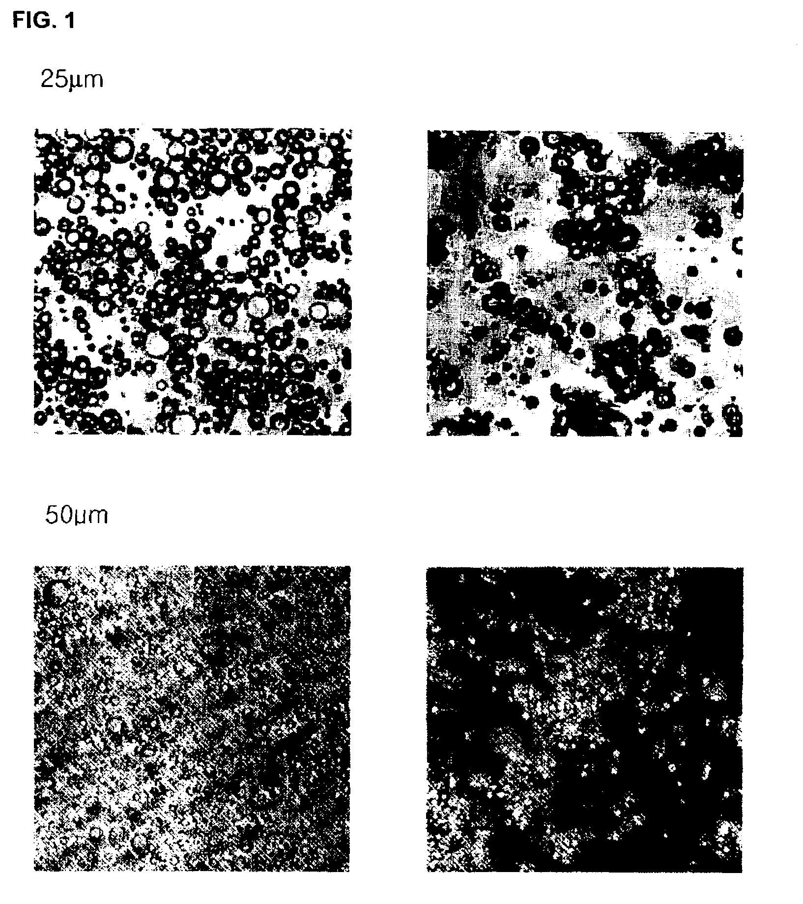 Controlled release preparation of insulin and its method