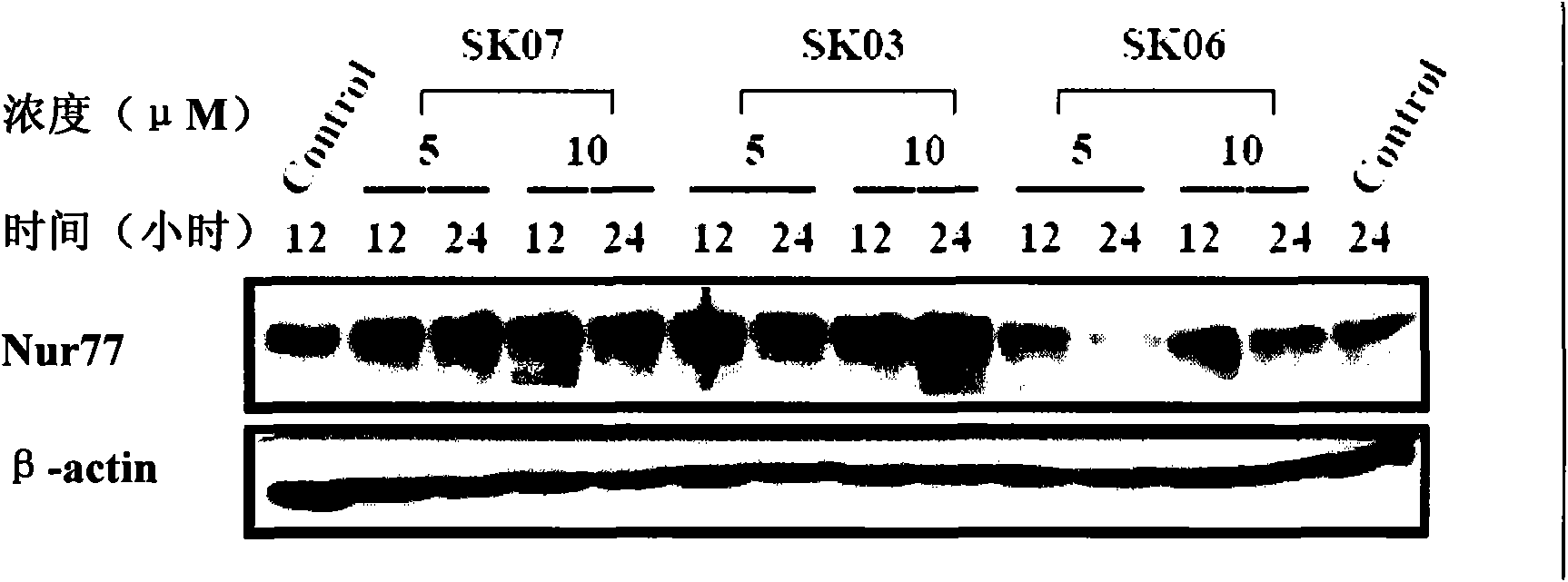 Application of alkannin derivant