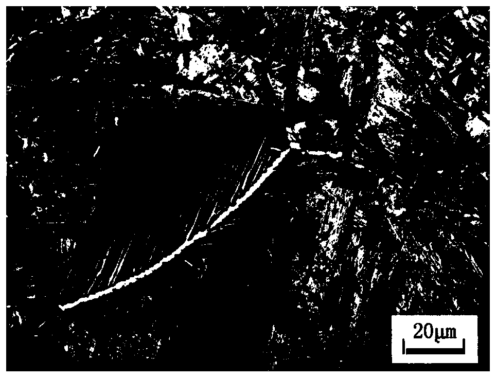 Method for rapid preparation of metallographic standard samples of high carbon steel