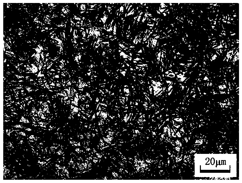 Method for rapid preparation of metallographic standard samples of high carbon steel