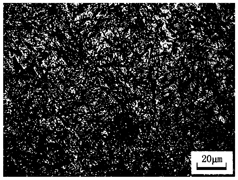 Method for rapid preparation of metallographic standard samples of high carbon steel