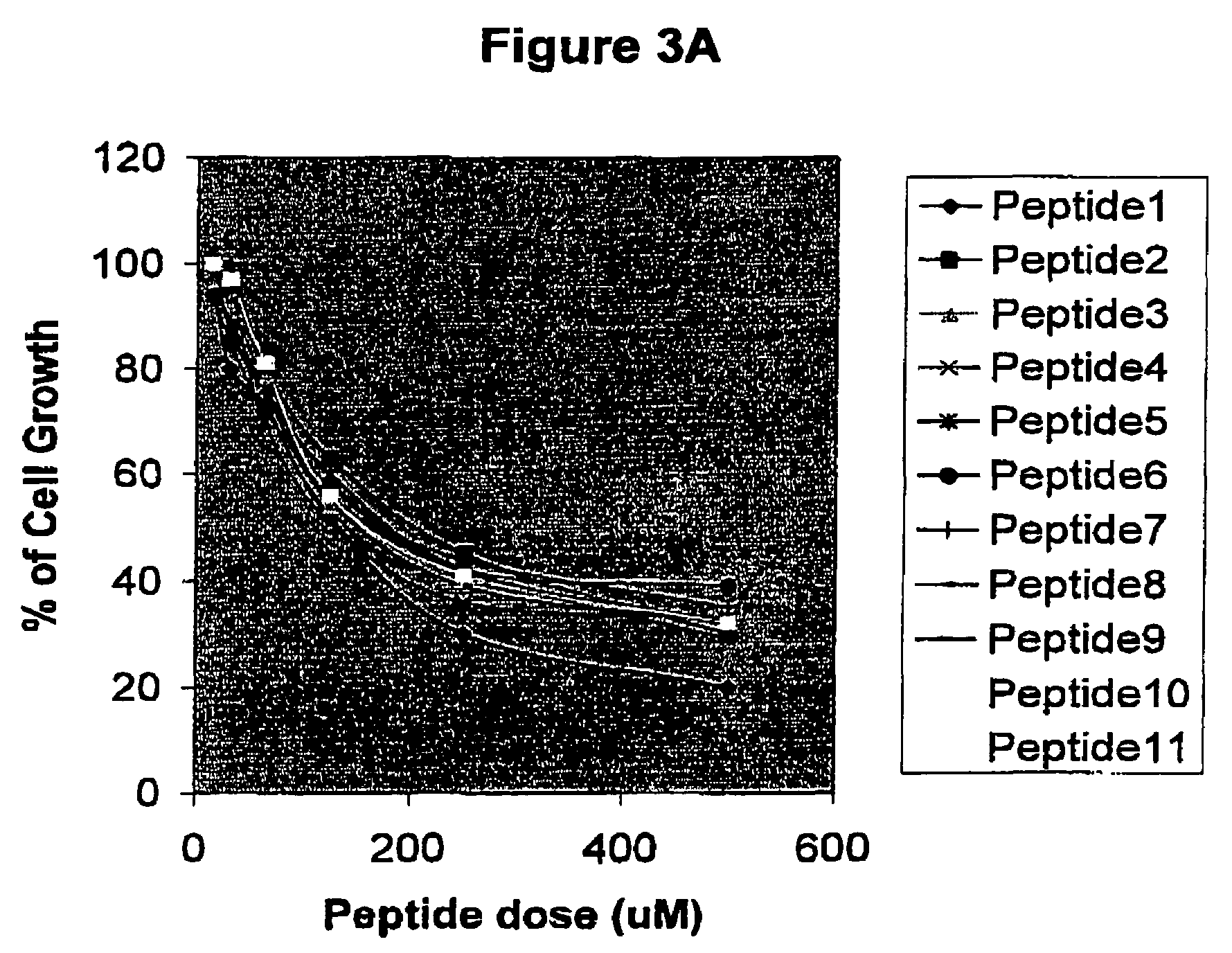 Peptides for the treatment of cancer associated with the human papilloma virus (HPV) and other epithelial tumors