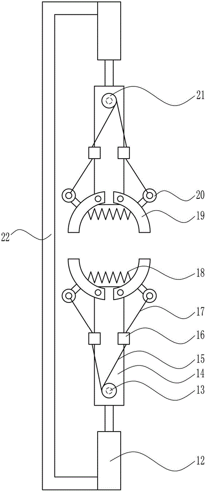 Dairy cattle milking device for animal husbandry