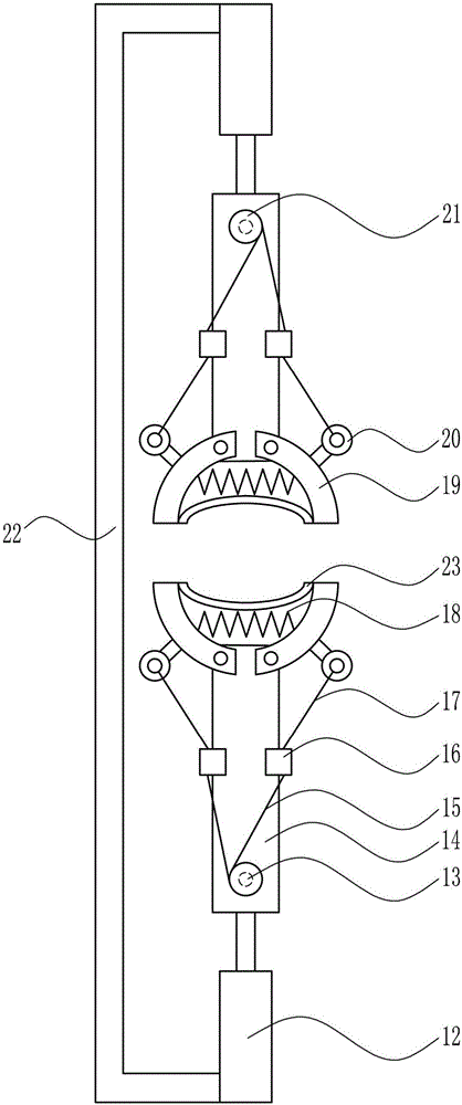 Dairy cattle milking device for animal husbandry