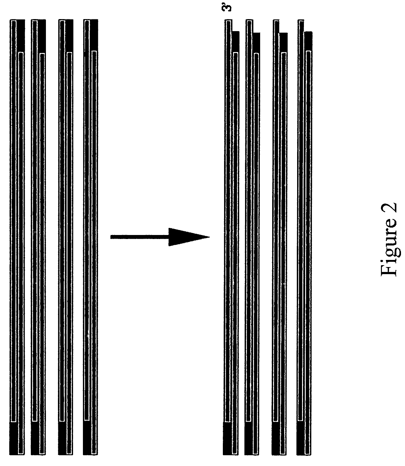 Method for assembling PCR fragments of DNA