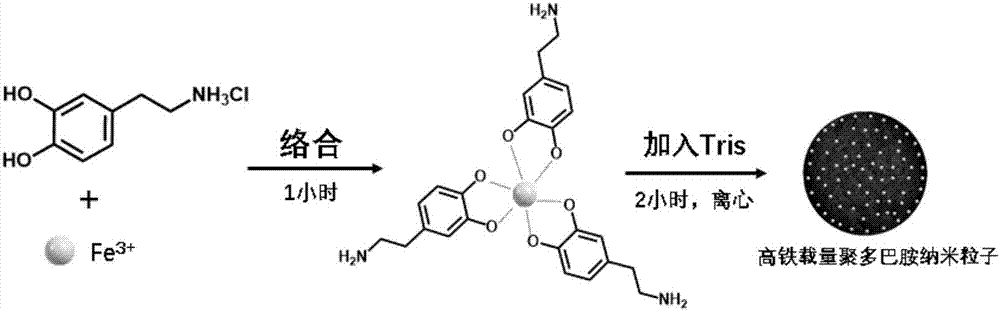 Method for preparing high iron-loading amount polydopamine nanoparticles