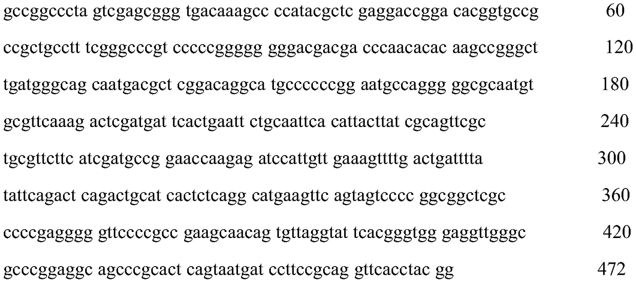 Fermentation technology degrading tannin in moringa oleifera leaf powder by using fungi and moringa leaf feed prepared by technology