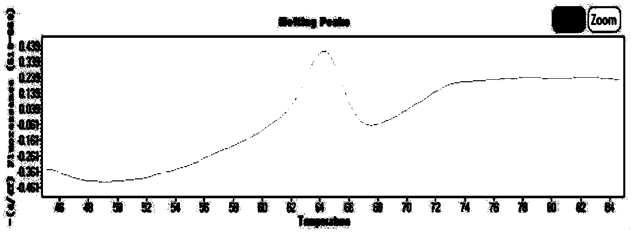 Kit and method for detecting MTHFR (methylene tetrahydrofolate reductase) and MTRR (methionine synthase reductase) gene polymorphism simultaneously with molecular beacon probes and melting curve