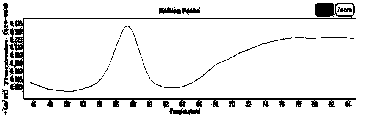 Kit and method for detecting MTHFR (methylene tetrahydrofolate reductase) and MTRR (methionine synthase reductase) gene polymorphism simultaneously with molecular beacon probes and melting curve