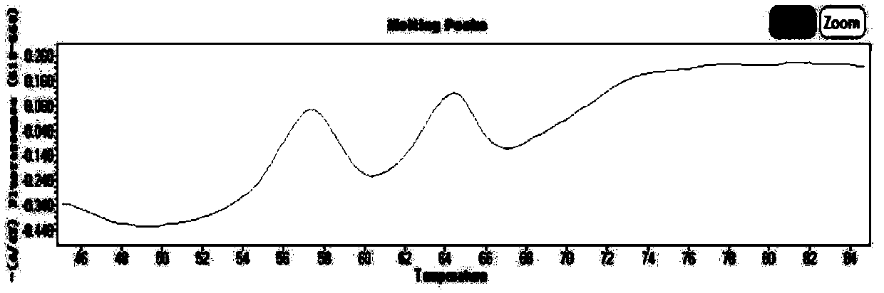 Kit and method for detecting MTHFR (methylene tetrahydrofolate reductase) and MTRR (methionine synthase reductase) gene polymorphism simultaneously with molecular beacon probes and melting curve