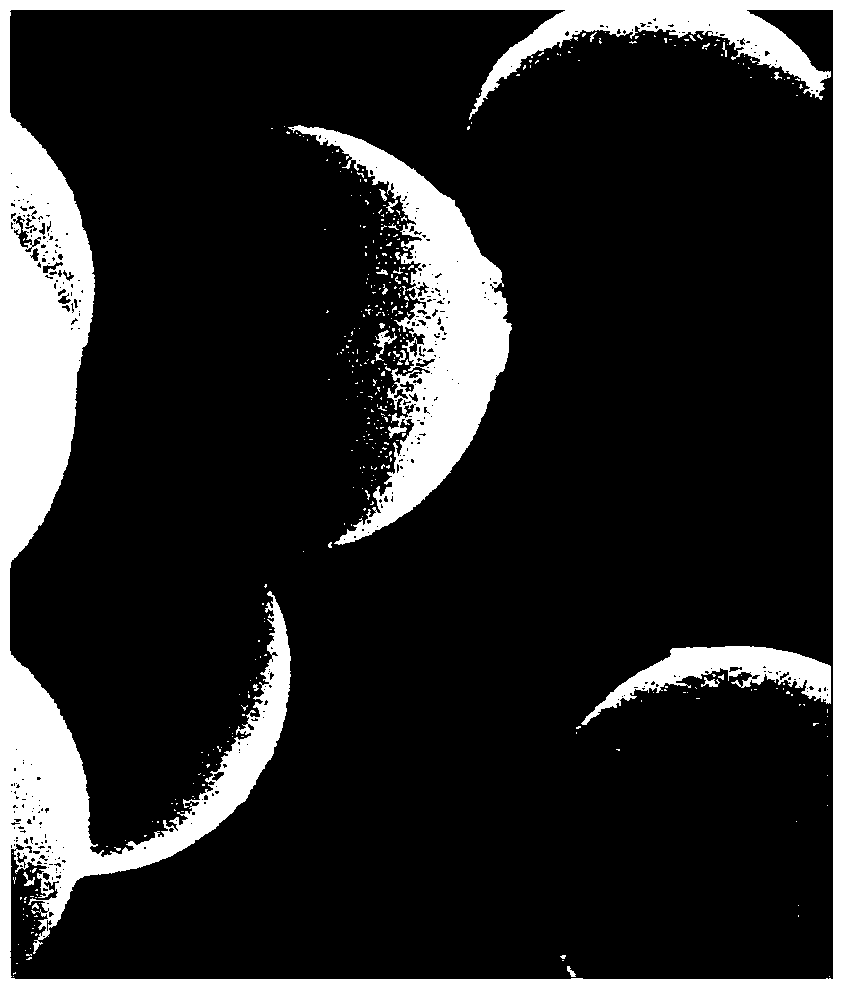 Fluorescent magnetic nanoparticle for hypochlorous acid detection and synthetic method thereof