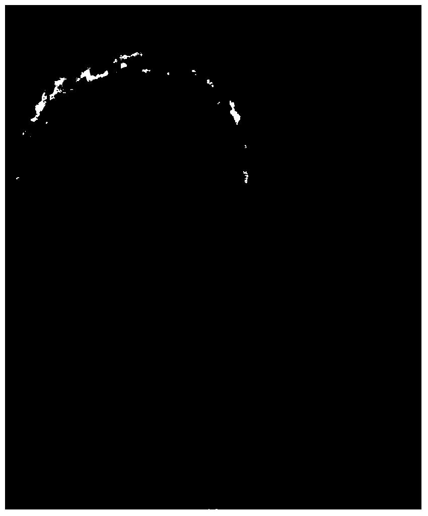 Fluorescent magnetic nanoparticle for hypochlorous acid detection and synthetic method thereof